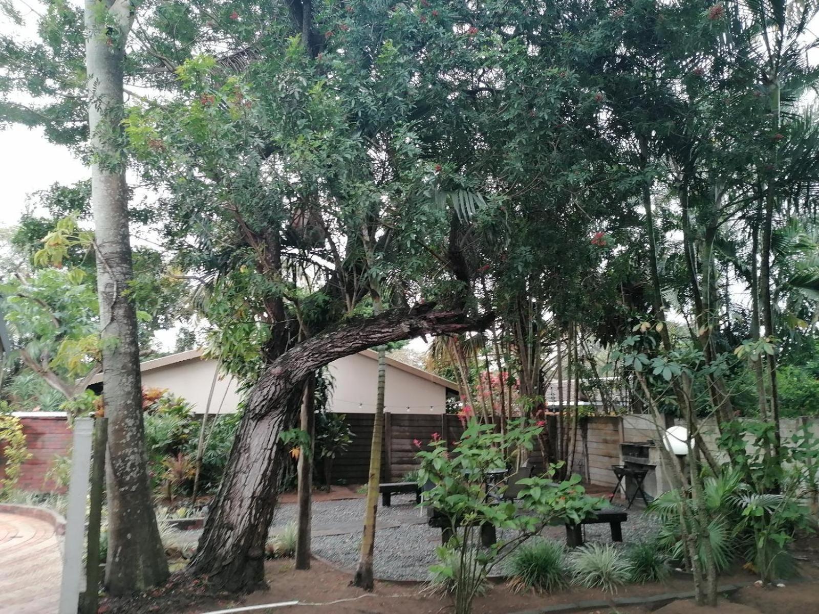 Nqabanqaba Bed and Breakfast Richards Bay Exteriör bild